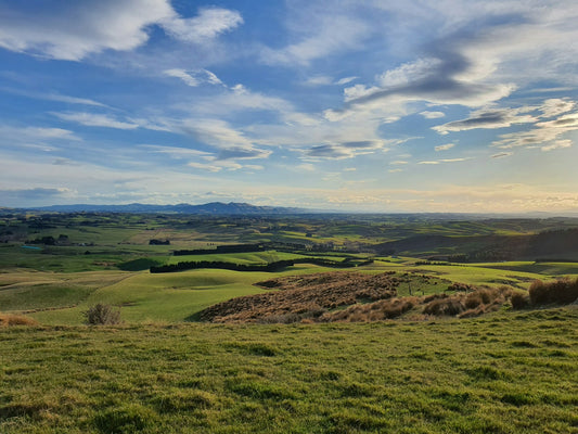 Why New Zealand's Premium Ingredients Are the Best Choice for Your Dog's Health