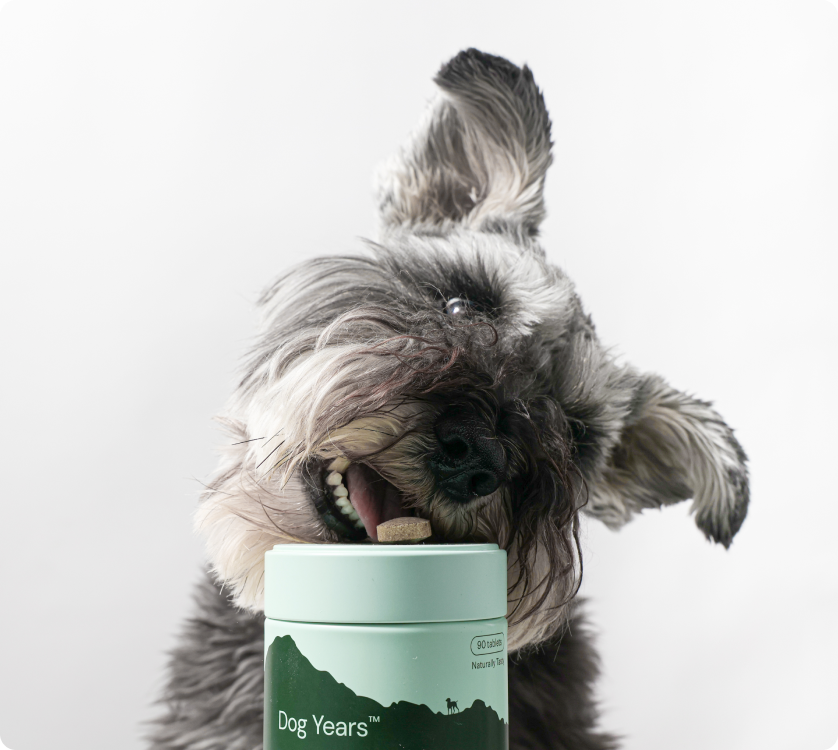 Joint & Mobility Travel Pack | 2 x 6 count