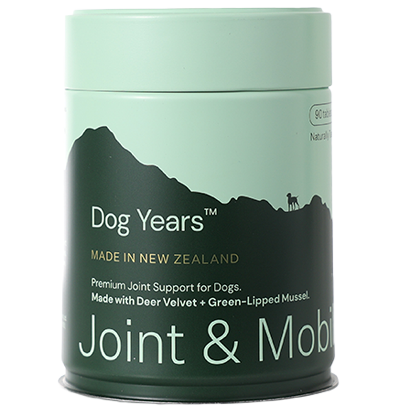 Dog Joint Health Supplements Natural photo