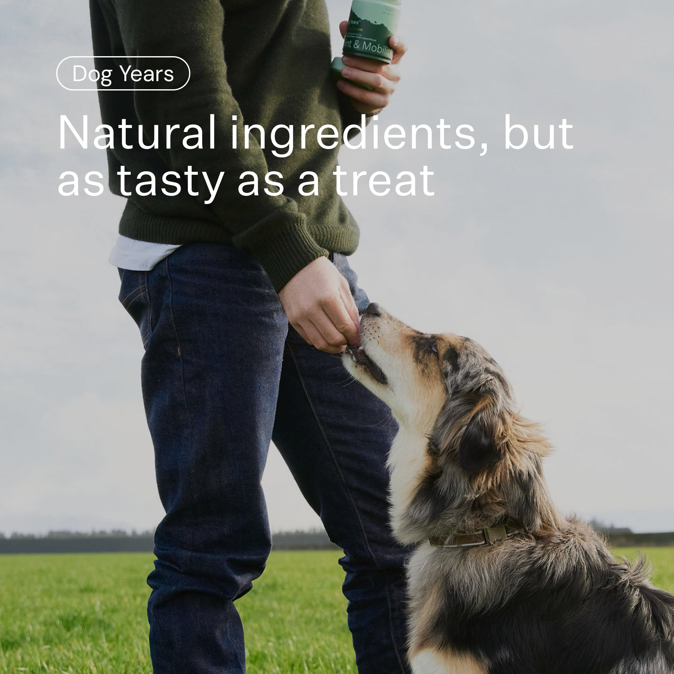 Joint Supplement for Dogs