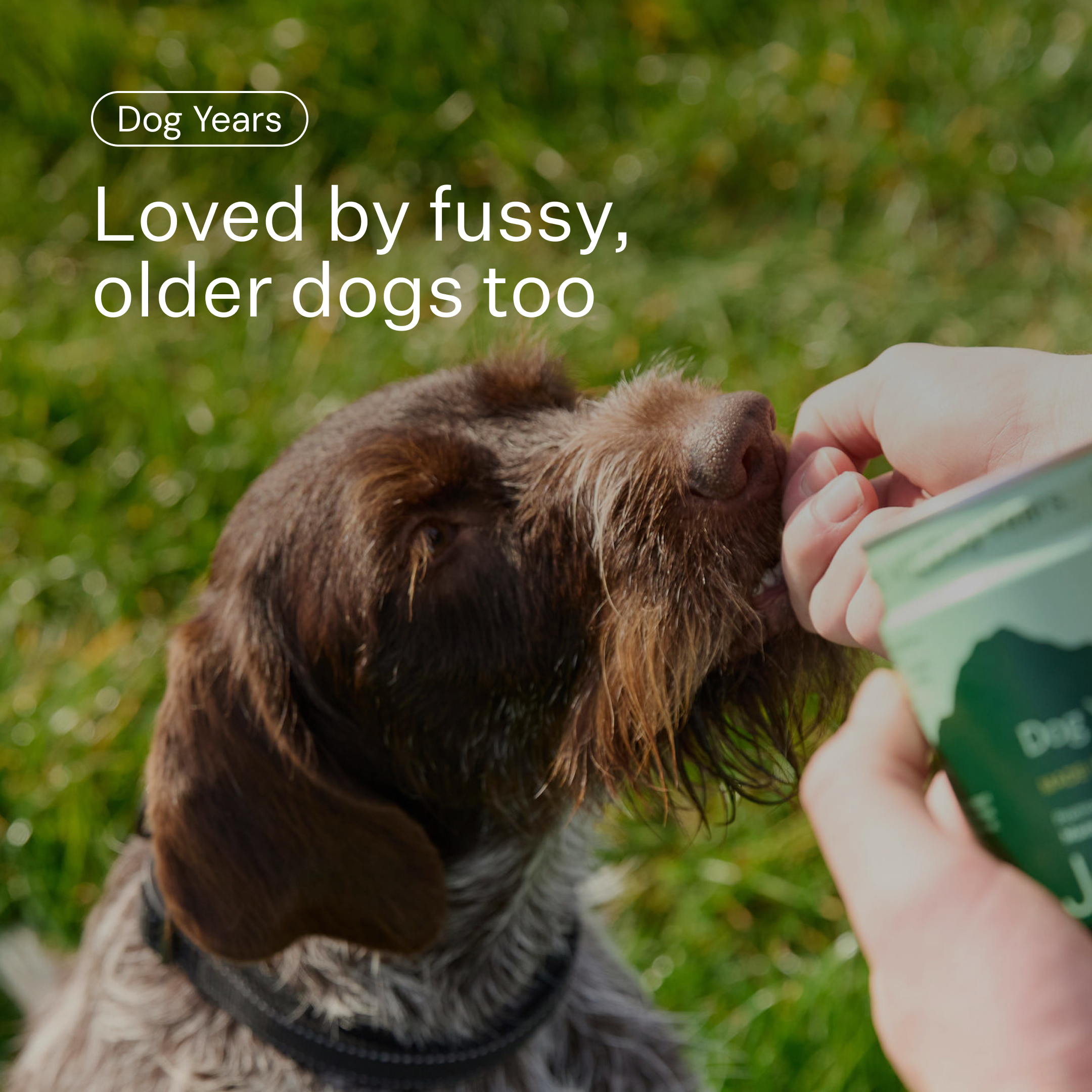 Joint Supplement for Dogs