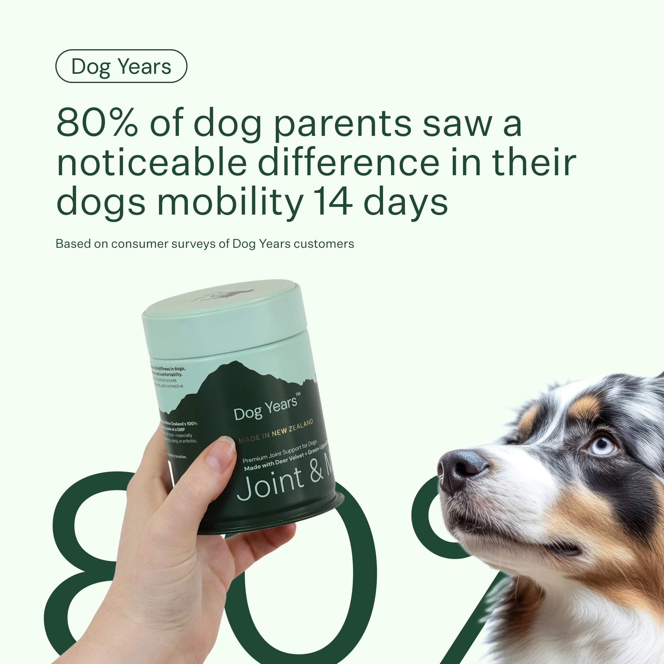 Joint Supplement for Dogs