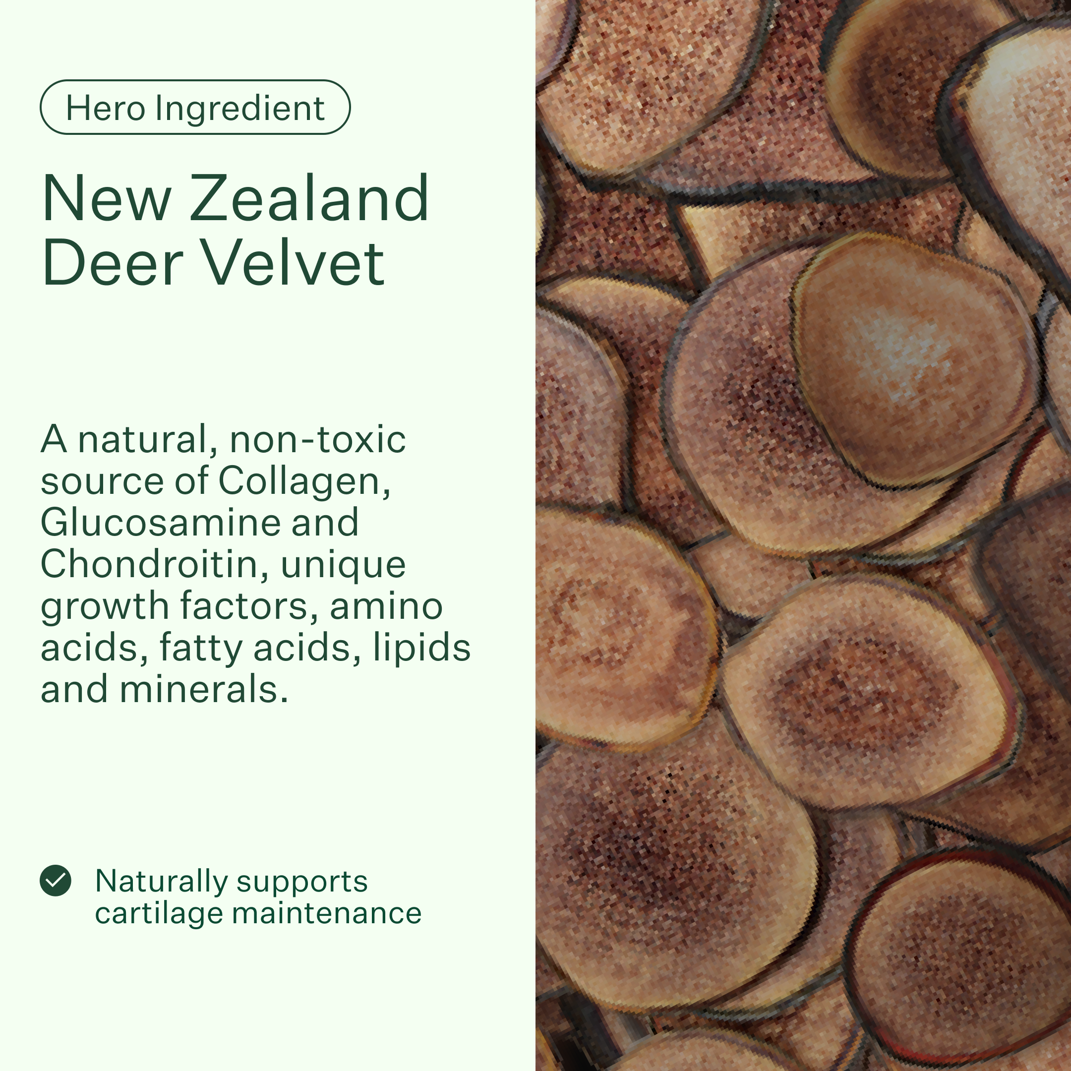 Joint Supplement for Dogs