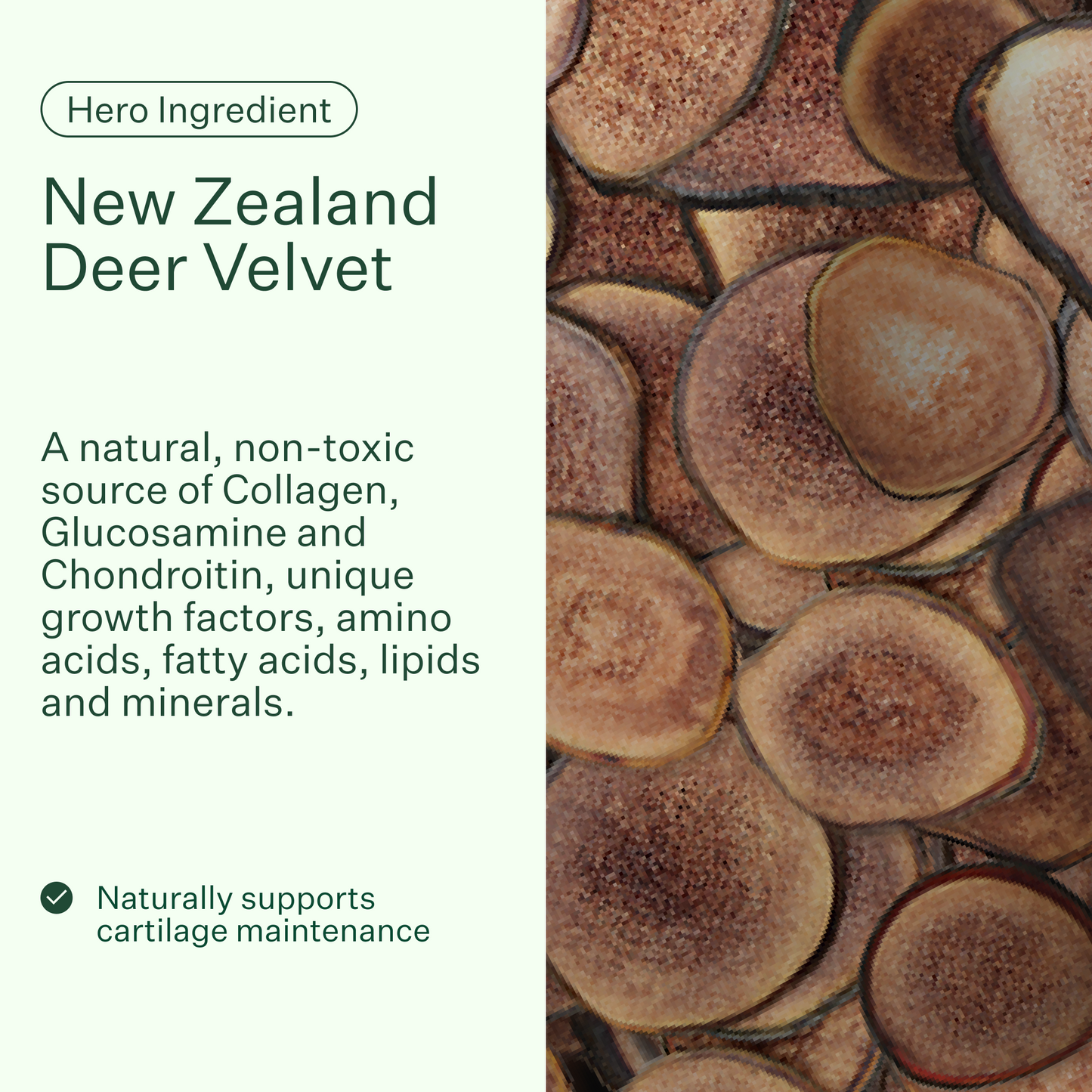 Joint Supplement for Dogs